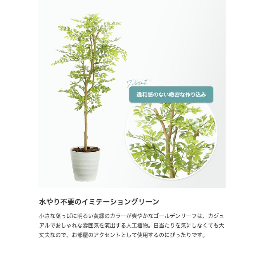 観葉植物 光触媒 造花 ゴールデンリーフ グリーン 人工植物 消臭 抗菌 防菌 ホルムアルデヒド 植物 人工 タバコ アートフラワー オフィス プレゼント_1