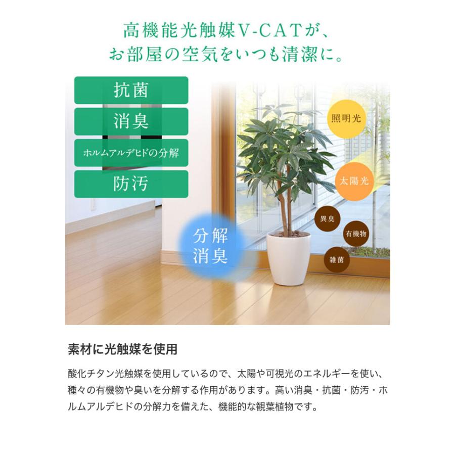 観葉植物 光触媒 造花 ゴールデンリーフ グリーン 人工植物 消臭 抗菌 防菌 ホルムアルデヒド 植物 人工 タバコ アートフラワー オフィス プレゼント_2