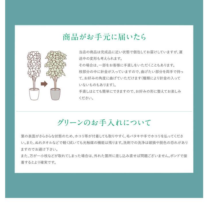 観葉植物 光触媒 造花 ゴールデンリーフ グリーン 人工植物 消臭 抗菌 防菌 ホルムアルデヒド 植物 人工 タバコ アートフラワー オフィス プレゼント_3