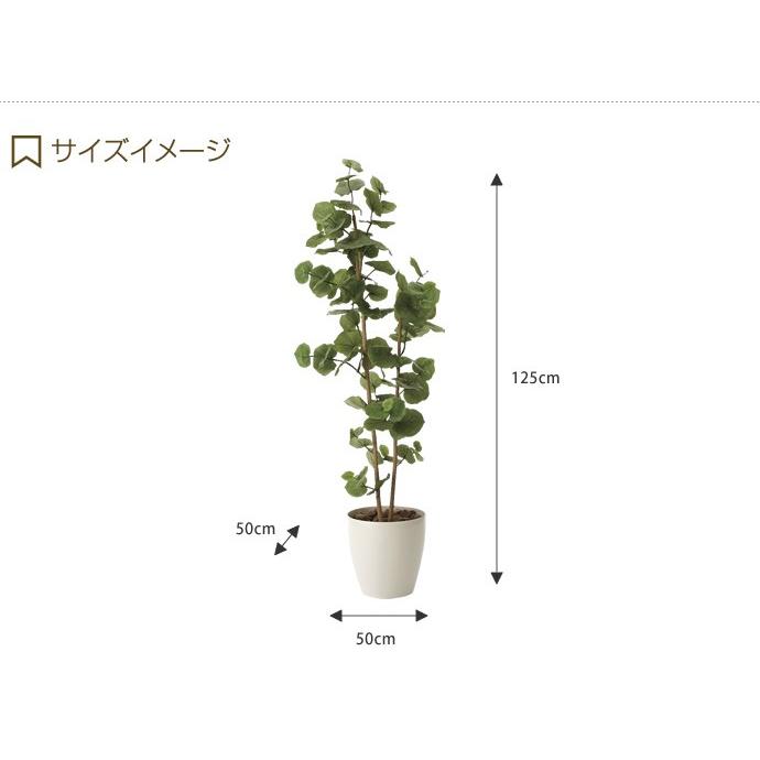 観葉植物 シーグレープ sea grape 室内 イミテーショングリーン : 家具