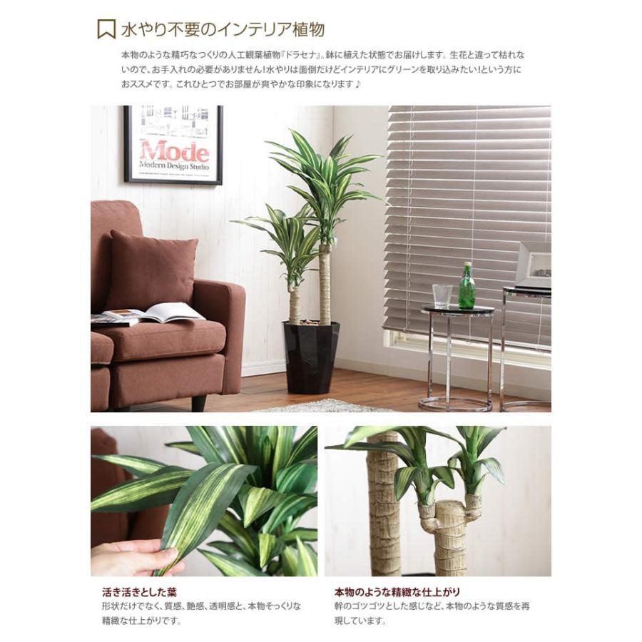 Max3 000円offクーポン 4 15 0時 23時59分 高さ1 1m Dracaena ドラセナ 人工植物 観葉植物 光触媒 水やり不要 お手入れ不要 グリーン リアル G 家具350 通販 Yahoo ショッピング