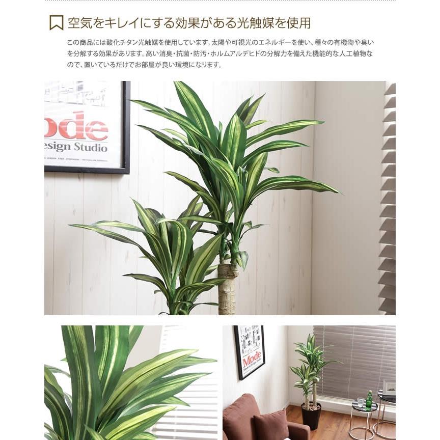 光触媒　人工観葉植物　フェイクグリーン　フレッシュドラセナ1.2m 光触媒 人工観葉植物 フェイクグリーン フレッシュドラセナ1.2m