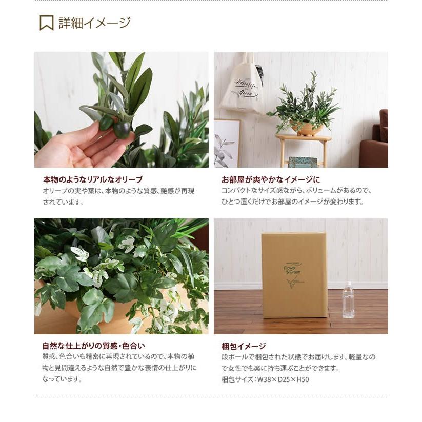 Olive Planting 寄せ植えオリーブ 人工植物 観葉植物 光触媒 水やり不要 お手入れ不要 グリーン リアル G 家具350 通販 Yahoo ショッピング