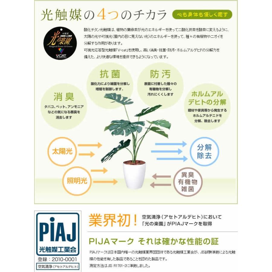 99 以上節約 Lime Pothos ライムポトス 人工植物 観葉植物 光触媒 水やり不要 お手入れ不要 グリーン リアル Wantannas Go Id