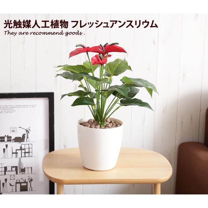 Fresh Anthurium フレッシュアンスリウムM 人工植物 観葉植物 光触媒 