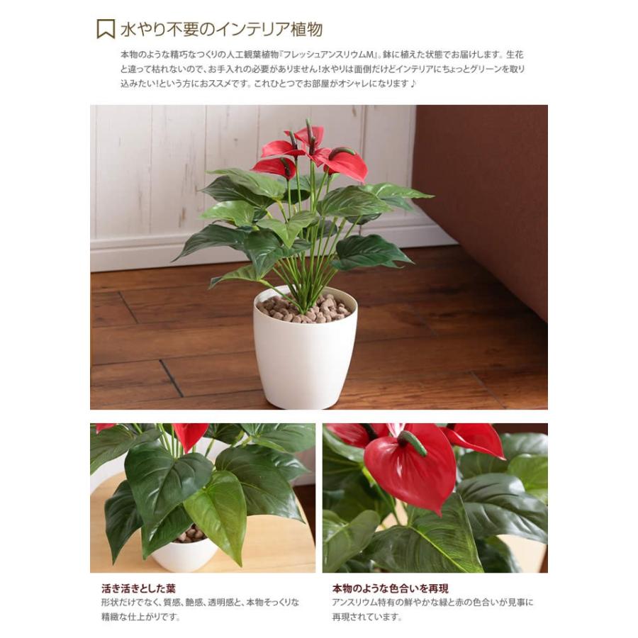 Fresh Anthurium フレッシュアンスリウムm 人工植物 観葉植物 水やり不要 お手入れ不要 リアル グリーン 光触媒 G 家具350 通販 Yahoo ショッピング