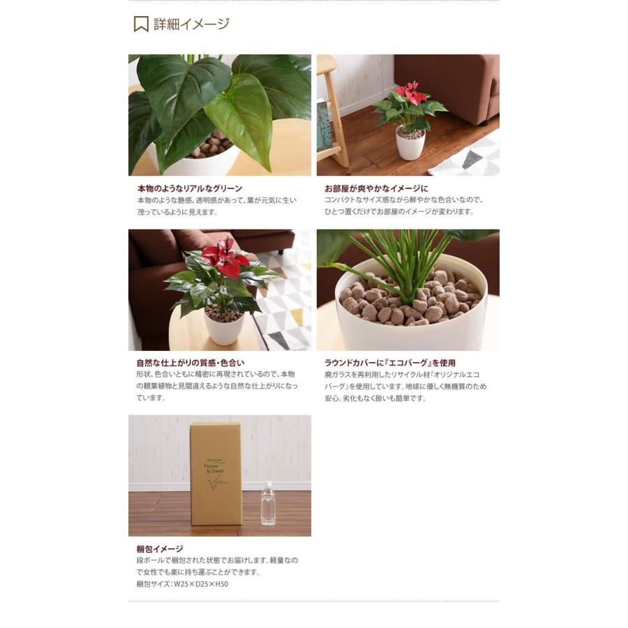 Fresh Anthurium フレッシュアンスリウムm 人工植物 観葉植物 水やり不要 お手入れ不要 リアル グリーン 光触媒 G 家具350 通販 Yahoo ショッピング
