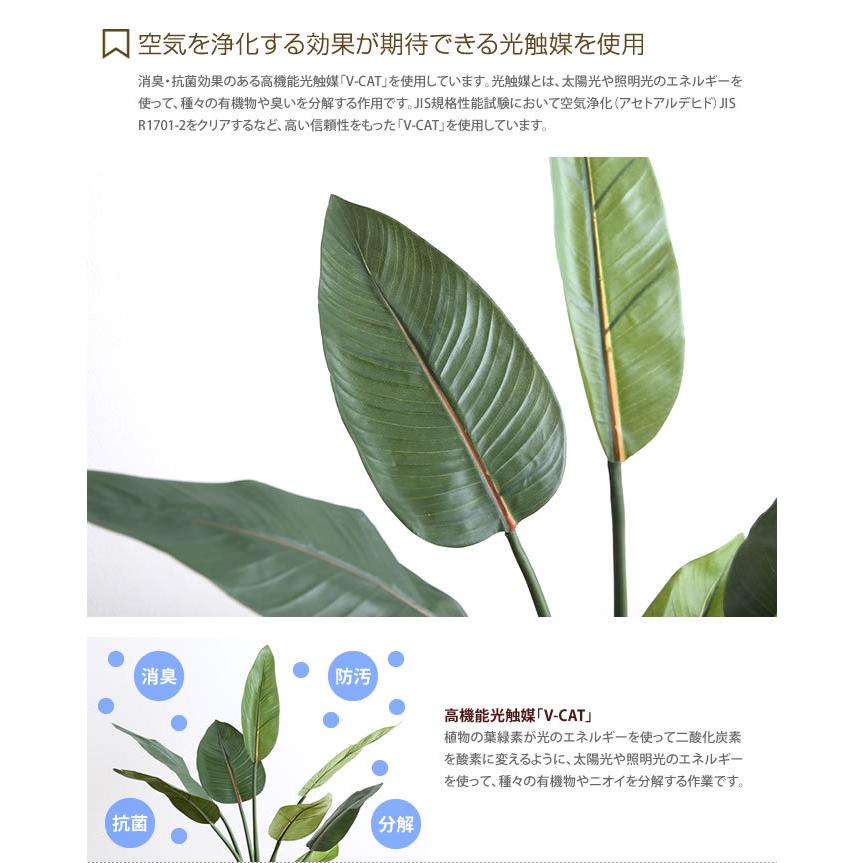 人工観葉植物 フェイクグリーン 高さ1.1m 人工植物 光触媒 インテリアグリーン 造花 インテリア おしゃれ ストレチア 消臭 抗菌 V-CAT グリーン_3