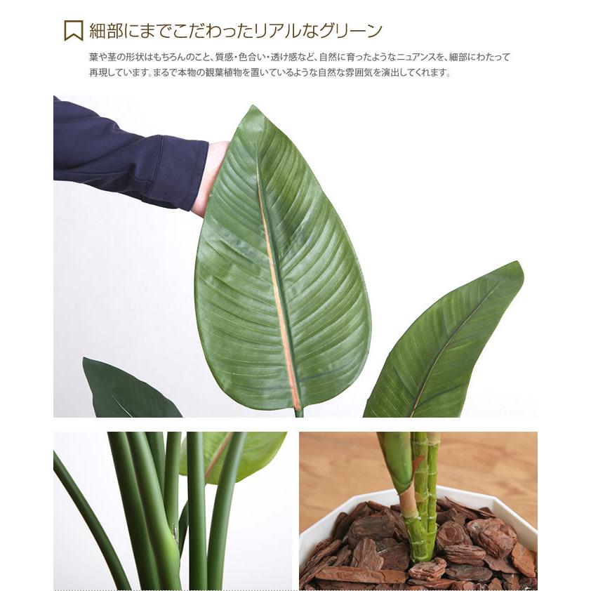 人工観葉植物 フェイクグリーン 高さ1.1m 人工植物 光触媒 インテリアグリーン 造花 インテリア おしゃれ ストレチア 消臭 抗菌 V-CAT グリーン_4