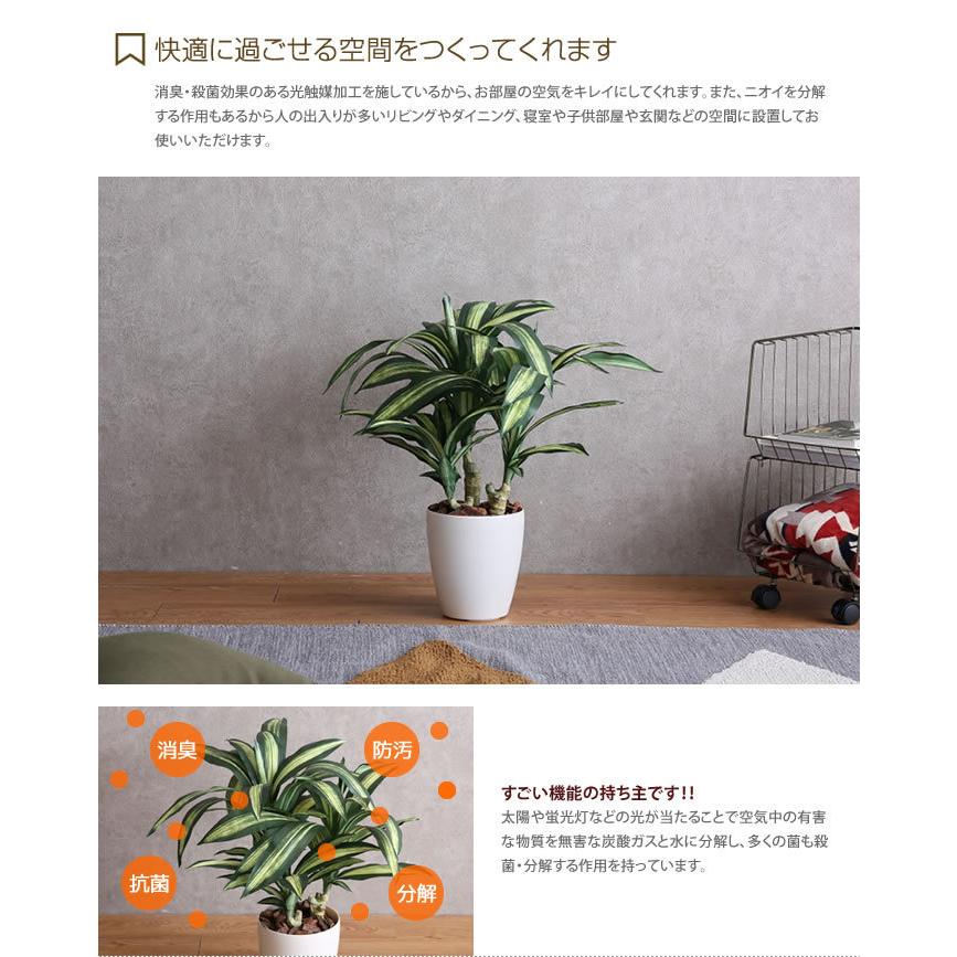 人工観葉植物 大型 フェイクグリーン 光触媒 観葉植物　幸福の木1.8m 人工観葉植物 大型 フェイクグリーン 光触媒 観葉植物 幸福の木1.8m