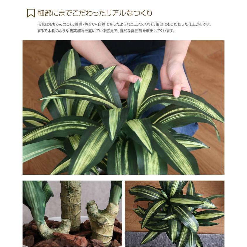 光触媒　人工観葉植物　フェイクグリーンナチュラル幸福の木1.65 光触媒 人工観葉植物 フェイクグリーンナチュラル幸福の木1.65 光触媒
