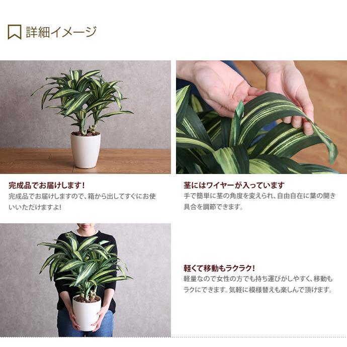 人工観葉植物 フェイクグリーン 人工植物 光触媒 インテリアグリーン
