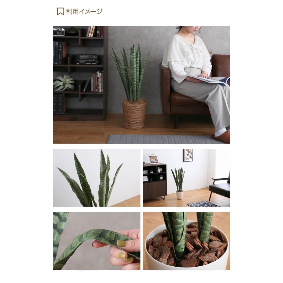 人工観葉植物 フェイクグリーン 人工植物 光触媒 インテリアグリーン 造花 インテリア おしゃれ サンセベリア サンスベリア 消臭 抗菌 V Cat グリーン G 家具350 通販 Yahoo ショッピング