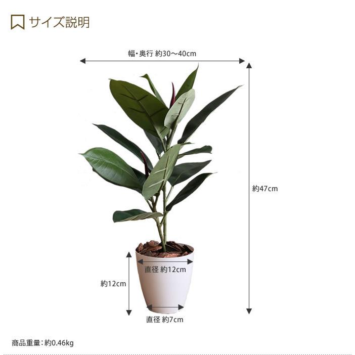 人工観葉植物 フェイクグリーン 人工植物 光触媒 インテリアグリーン 造花 インテリア おしゃれ ゴムの木 消臭 抗菌 V-CAT｜kagu350｜03