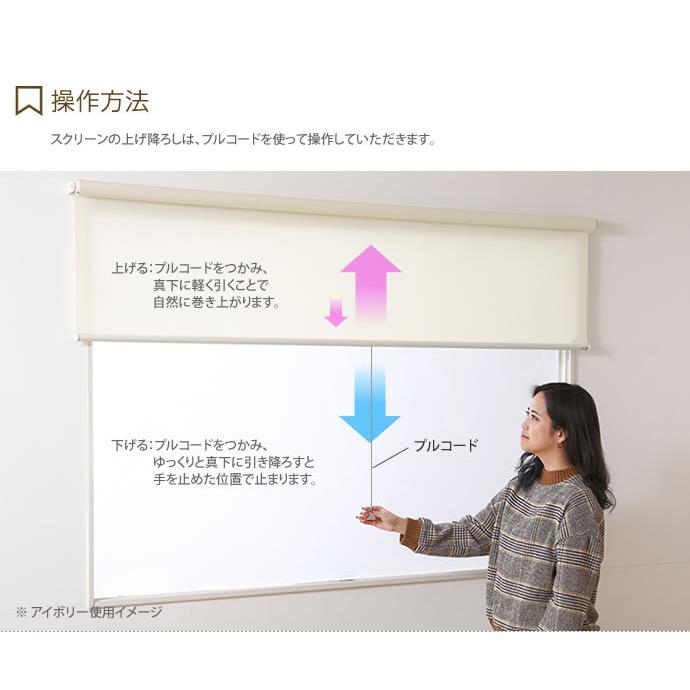 170cm×220cm ロールスクリーン ロールカーテン 防炎 遮光2級 幅170cm