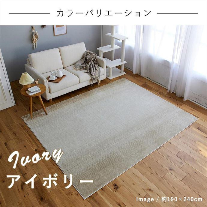 ラグ カーペット ラグマット 絨毯 じゅうたん リビングラグ センター