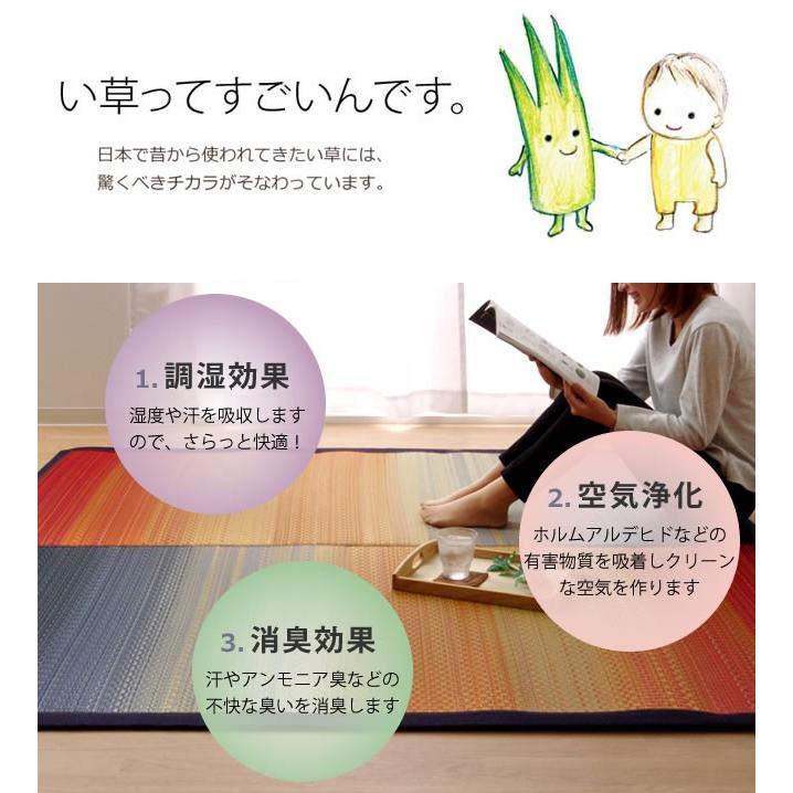 い草　九州産　ラグ　【未使用】 国産い草ラグ ランクス