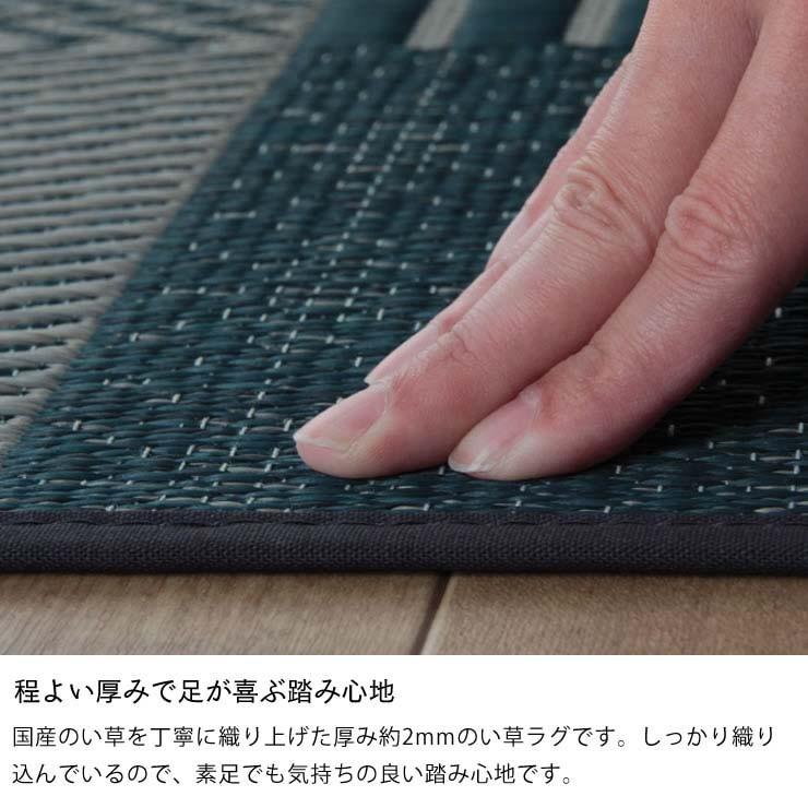 イケヒコ い草 ラグ 江戸間10畳 352×435cm 様々な織りの模様が楽しめる 