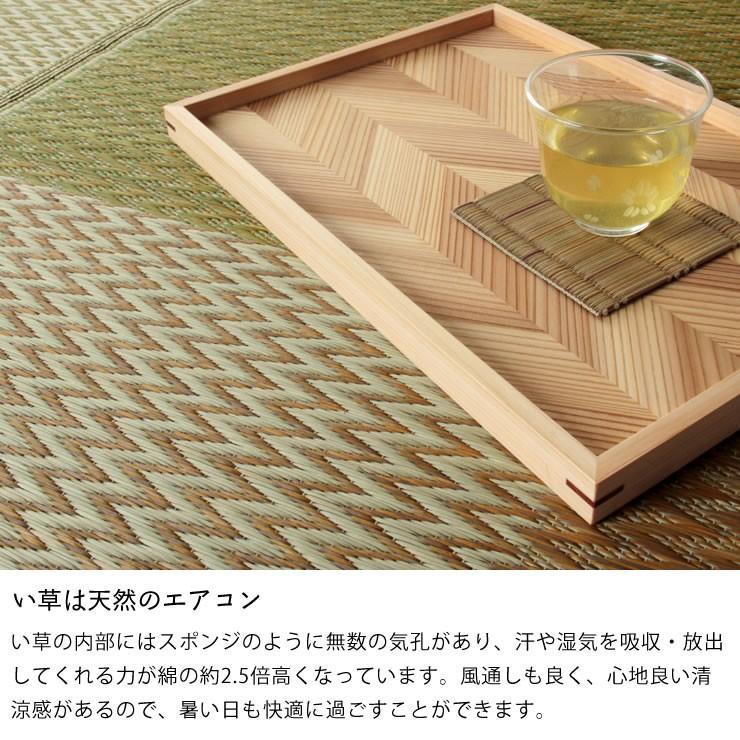 い草 ラグ 江戸間6畳 261&times;352cm カジュアルなデザイン ※代引き不可 涼しい カーペット マット 和モダン