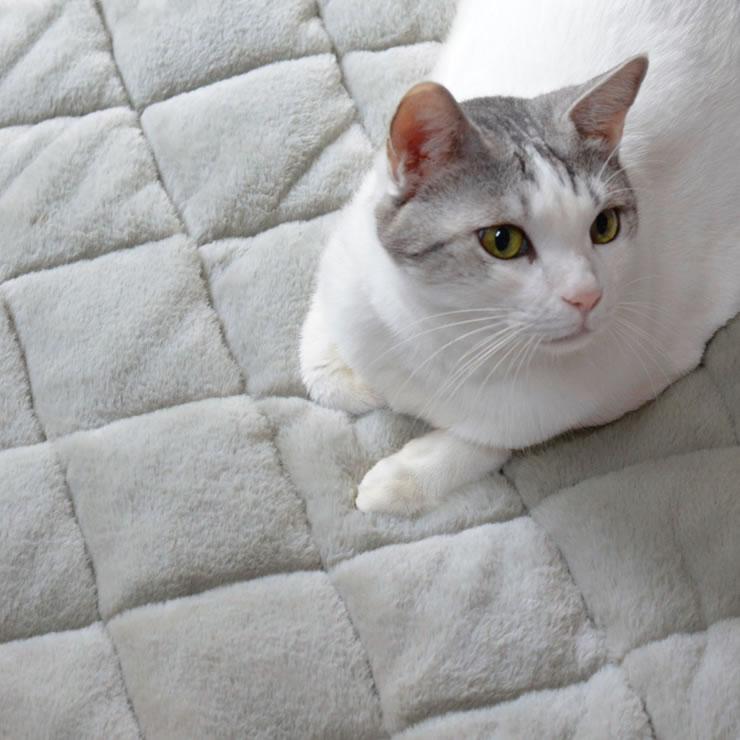 イケヒコ ポケットこたつ布団 （90×120cm） ※代引き不可 : 家具の里