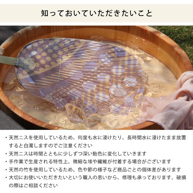 カミノシゴト（家田紙工） HIROCOLEDGE&Co.シリーズ 水うちわ 小判型