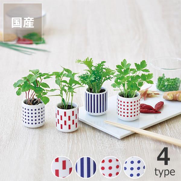 観葉植物 おちょこで薬味栽培セット 栽培キット ガーデニング 野菜 室内 ミニサイズ S7 0002 家具の里 通販 Yahoo ショッピング