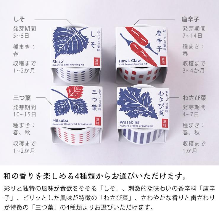観葉植物 おちょこで薬味栽培セット 栽培キット ガーデニング 野菜 室内 ミニサイズ S7 0002 家具の里 通販 Yahoo ショッピング