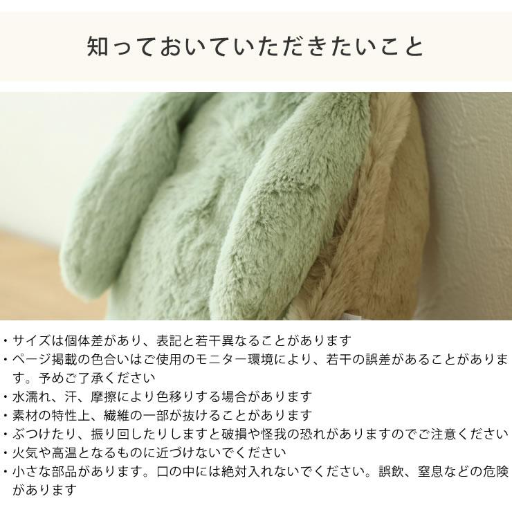 JELLY CAT（ジェリーキャット） Bashful Turtle Medium （バシュフル