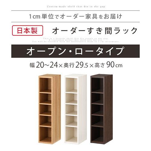 56 以上節約 完成品 スリムラック 本棚 低いタイプ おしゃれ 大容量 スリム 省スペース 対応 隙間収納 cm 21cm 22cm 23cm 24cm Originaljustturkey Com