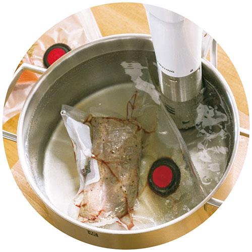 ツヴィリング エンフィニジー 低温調理器 4155-015 : カグチョク ツヴィリング エンフィニジー 低温調理器 4155-015 : カグチョク