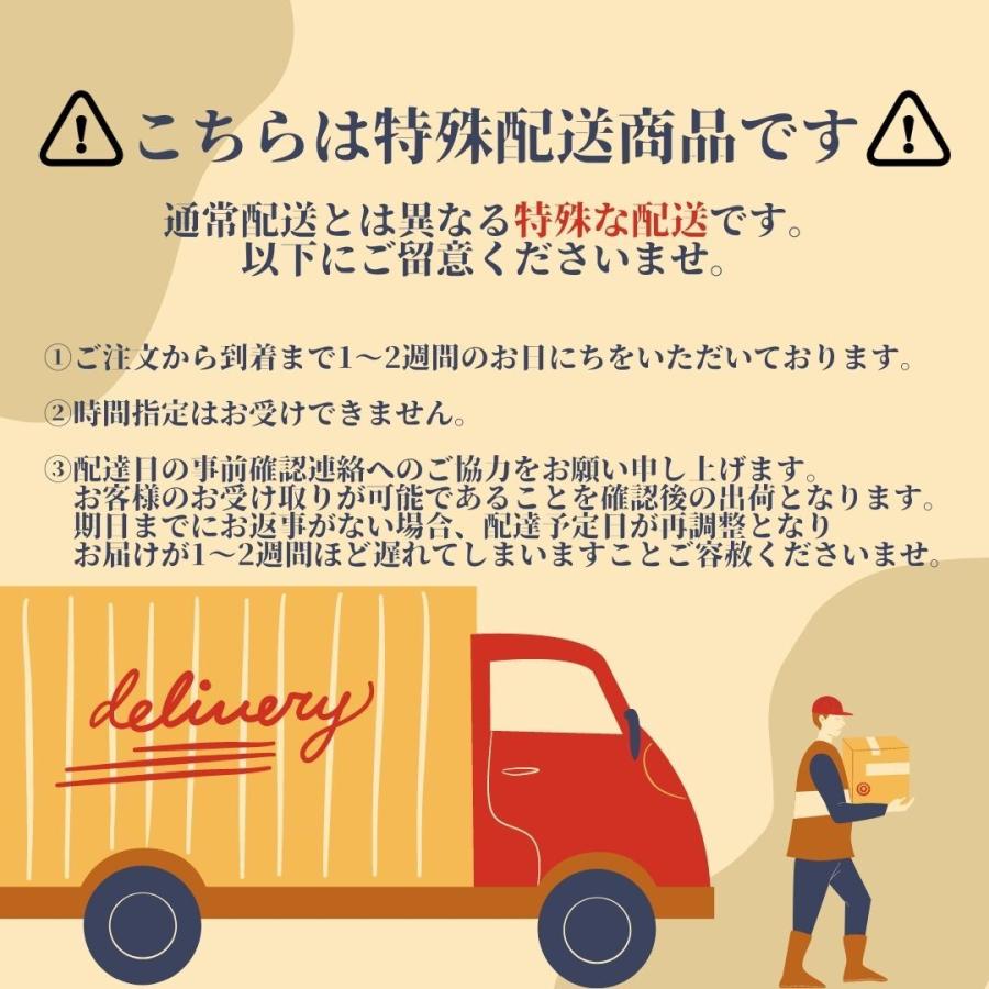 セミダブル ベッドフレーム すのこ コンセント付き 無垢材 木製 北欧
