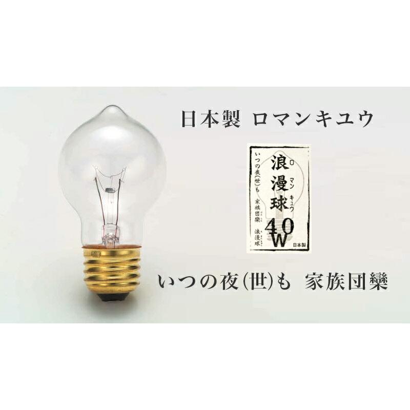 アルミセード 1灯 ペンダントライト 電球付き 日本製 送料無料 職人