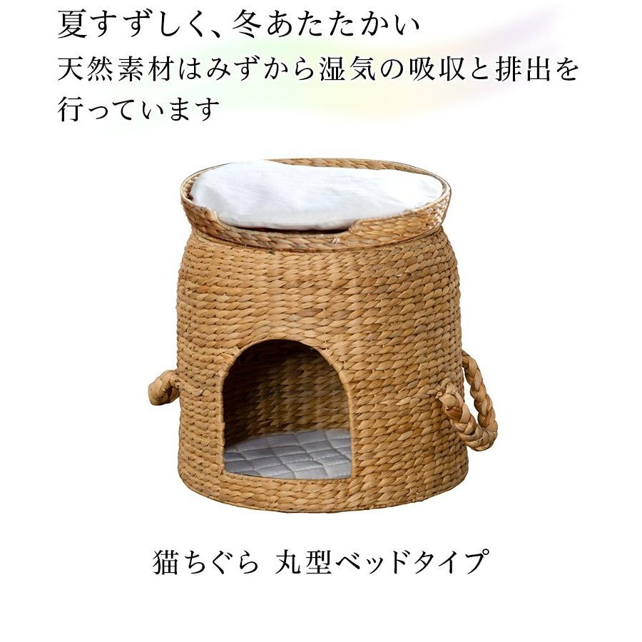 猫ちぐら ベッド付き猫ちぐら 天然素材 猫ベッド 2段ベッド 猫用つぐら