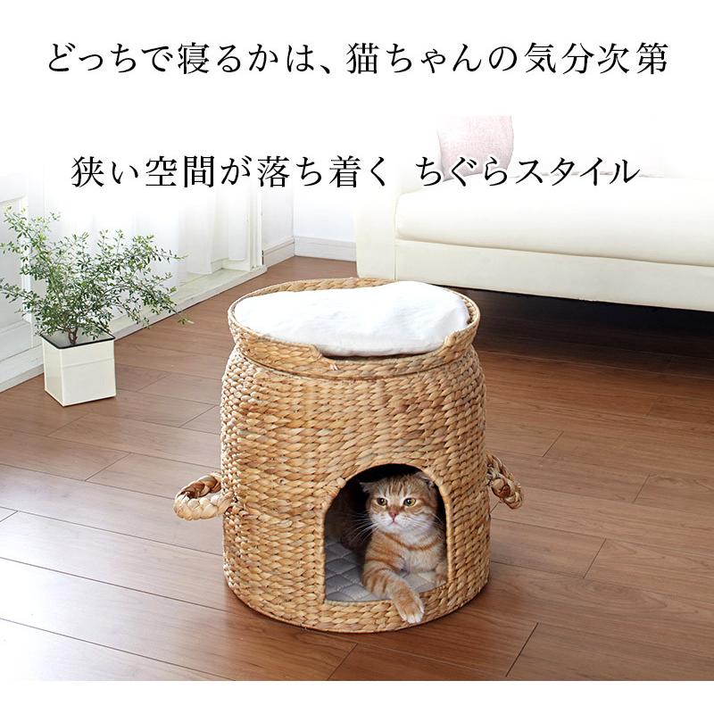 猫ちぐら ベッド付き猫ちぐら 天然素材 猫ベッド 2段ベッド 猫用つぐら