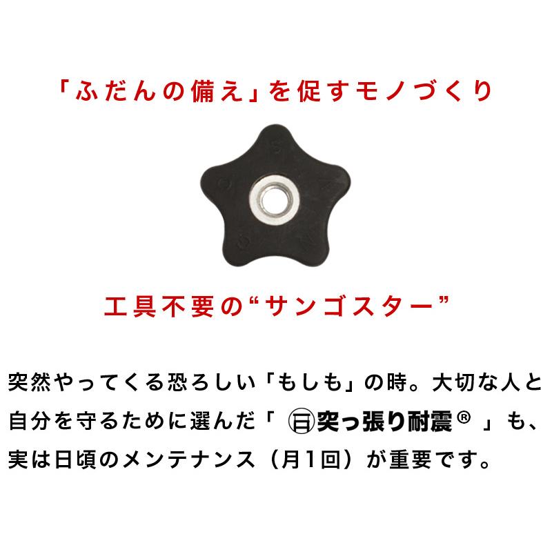 本棚 開梱設置 完成品 突っ張り 耐震 転倒防止 壁面収納 薄型 幅60 奥行19 突っ張り耐震本棚 サンゴ サンゴスター｜kagudoki｜10