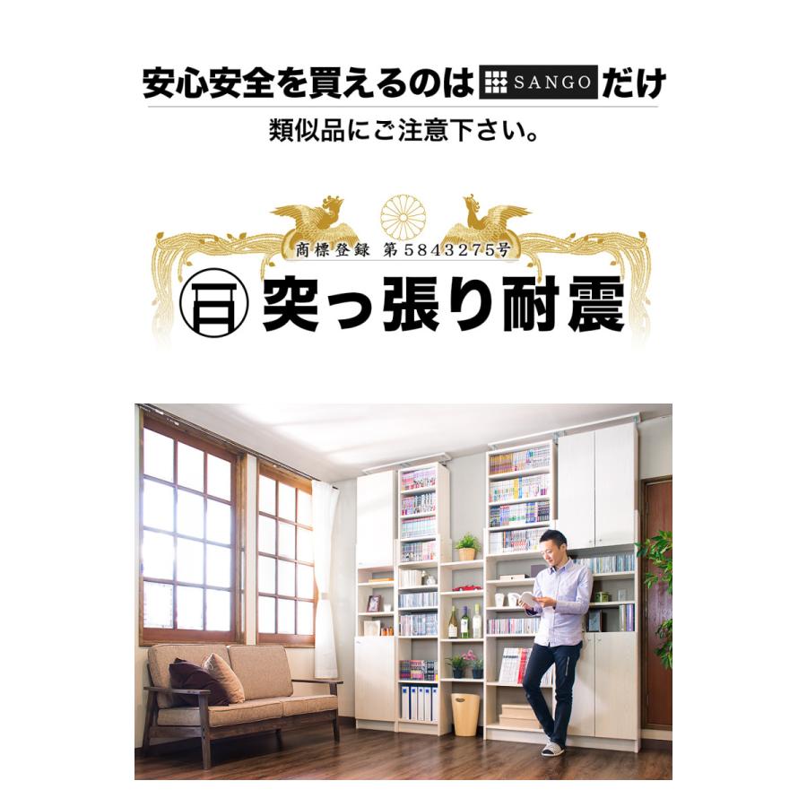突っ張り耐震本棚 幅45 奥行19 追加棚板2枚セット 薄型 転倒防止 壁面