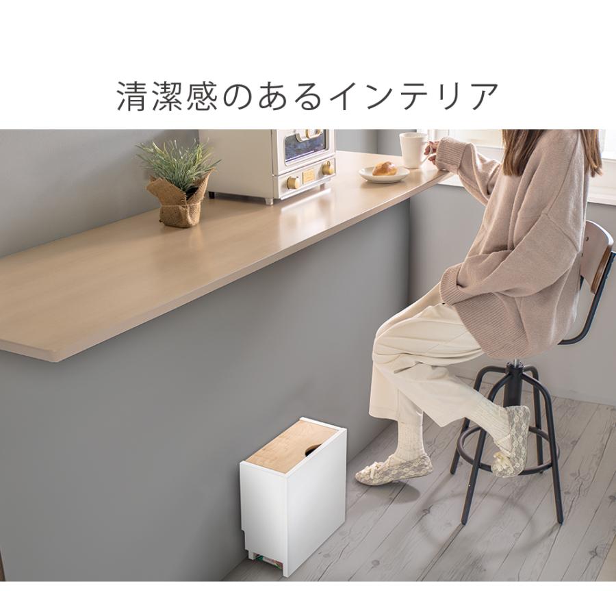 スプレー 収納  ホイホイカバー 隠す収納 スプレー収納 ゴキブリホイホイ カバー ラック 背面美人 隠す スリム 収納 薄型 ゴキブリ 棚 bakugai202602 | ブランド登録なし | 10
