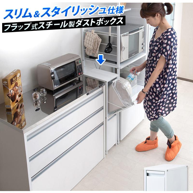 ダストボックス 9リットルタイプ2分別ごみ箱 スチール製ゴミ箱 約幅