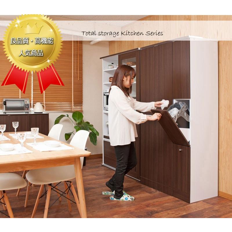 ゴミ箱 幅25cm 台所 キッチン ごみ箱 ダストボックス 2分別 おしゃれ