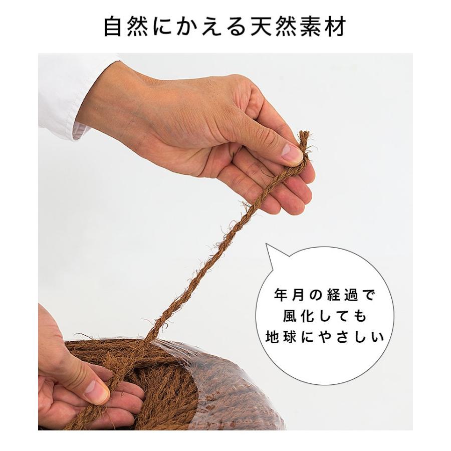 しゅろ縄 玉巻 3mm×500m 茶 入数6 6個入 6巻 ガーデニング 庭 農業