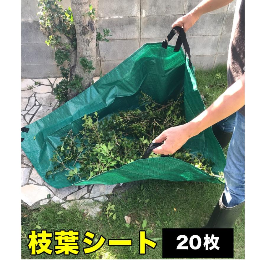 枝葉シート150×150cm 入数20 20入 20枚入 落葉拾い 落葉集め 落葉 枝