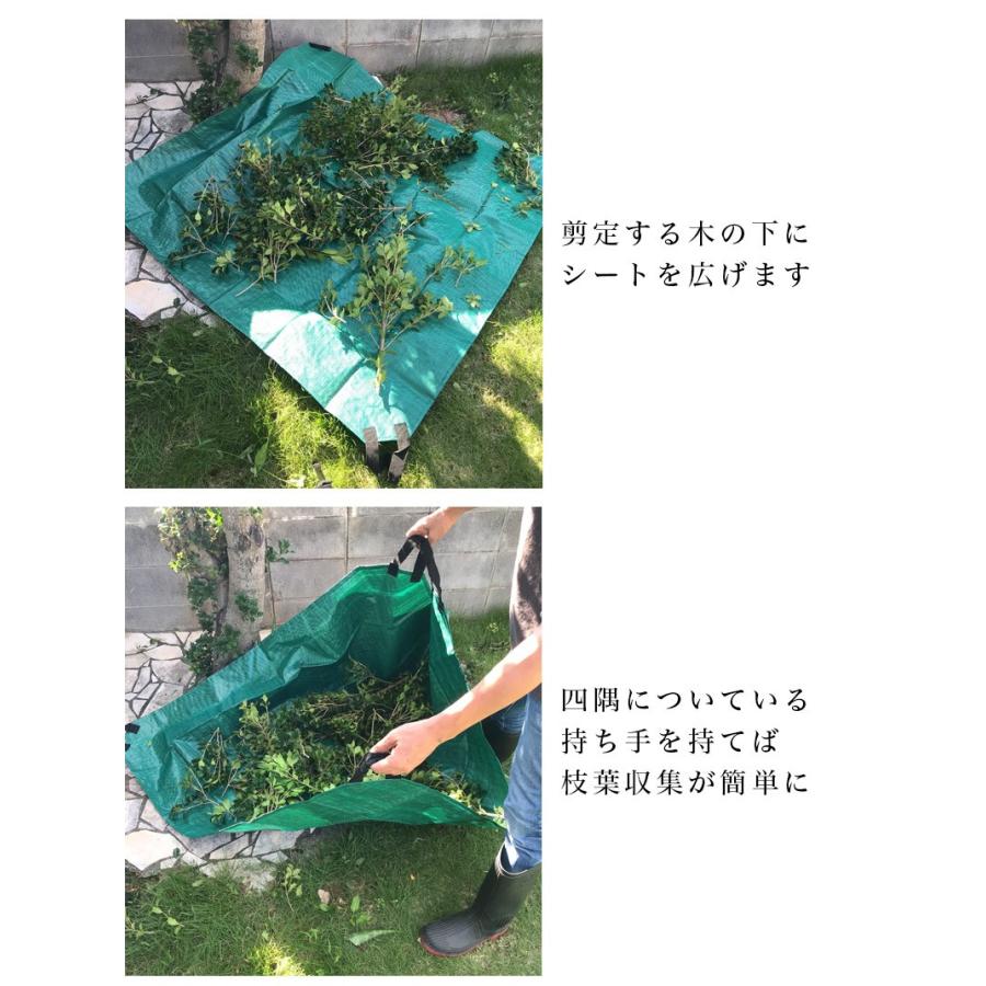 枝葉シート150×150cm 入数20 20入 20枚入 落葉拾い 落葉集め 落葉 枝