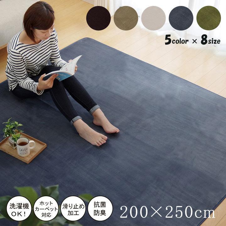 新200cm*250cm ラグ ネイビー 薄手 カーペット ラグカーペット 200×250cm 抗菌 防臭 加工 ベージュ ブラウン グリーン