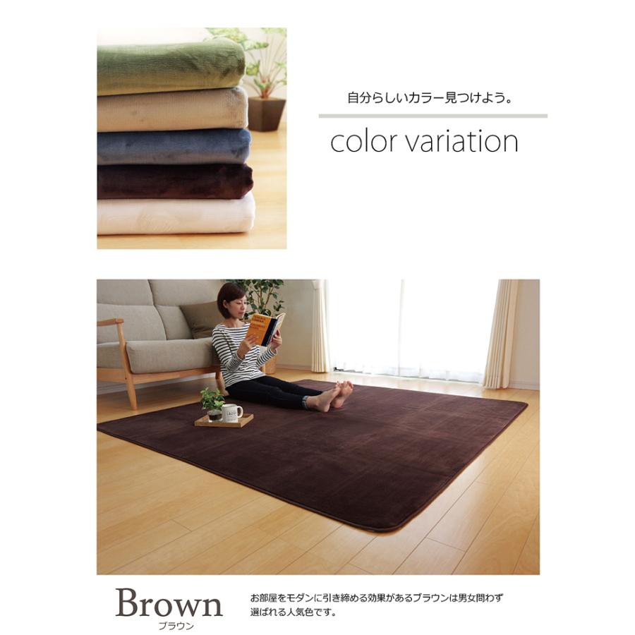 ラグカーペット 200×300cm 抗菌 防臭 加工 ベージュ ブラウン グリーン