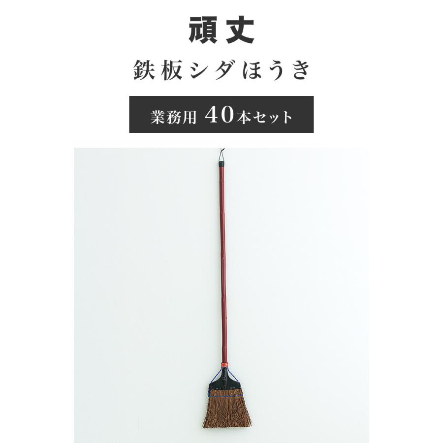 正規激安 ほうき 鉄板 シダほうき 業務用 40本 セット 頑丈 丈夫 メール便なら送料無料 Www Thedailyspud Com