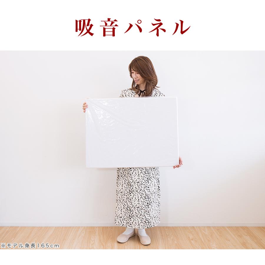 吸音パネル 80cm 60cm 12枚 防音マット byt101004902 45度カット 壁