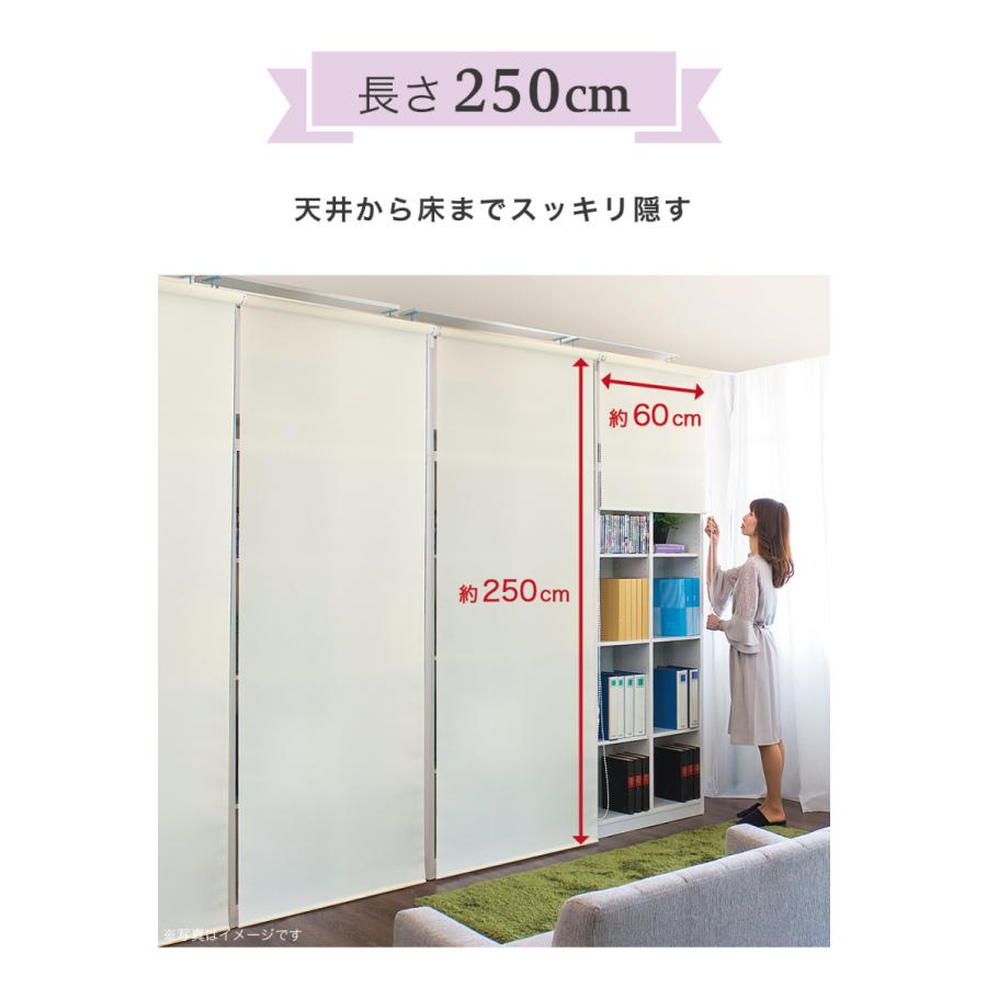 ロールスクリーン 幅60 丈250cm 目隠し 巻上器付き 風通し 最大長さ
