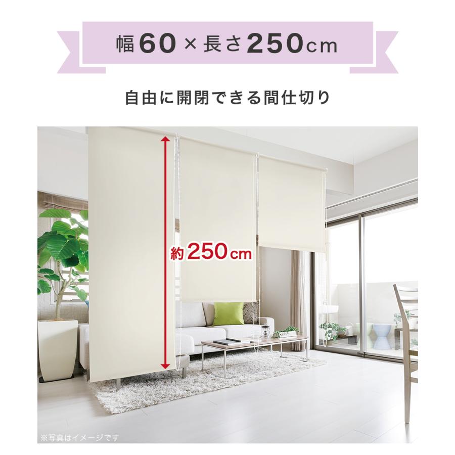【新品未使用】ロールスクリーン ロールカーテン 間仕切り 111×245 立川機工 ロールスクリーン 抗菌 防臭 オーダー サイズ W61-90