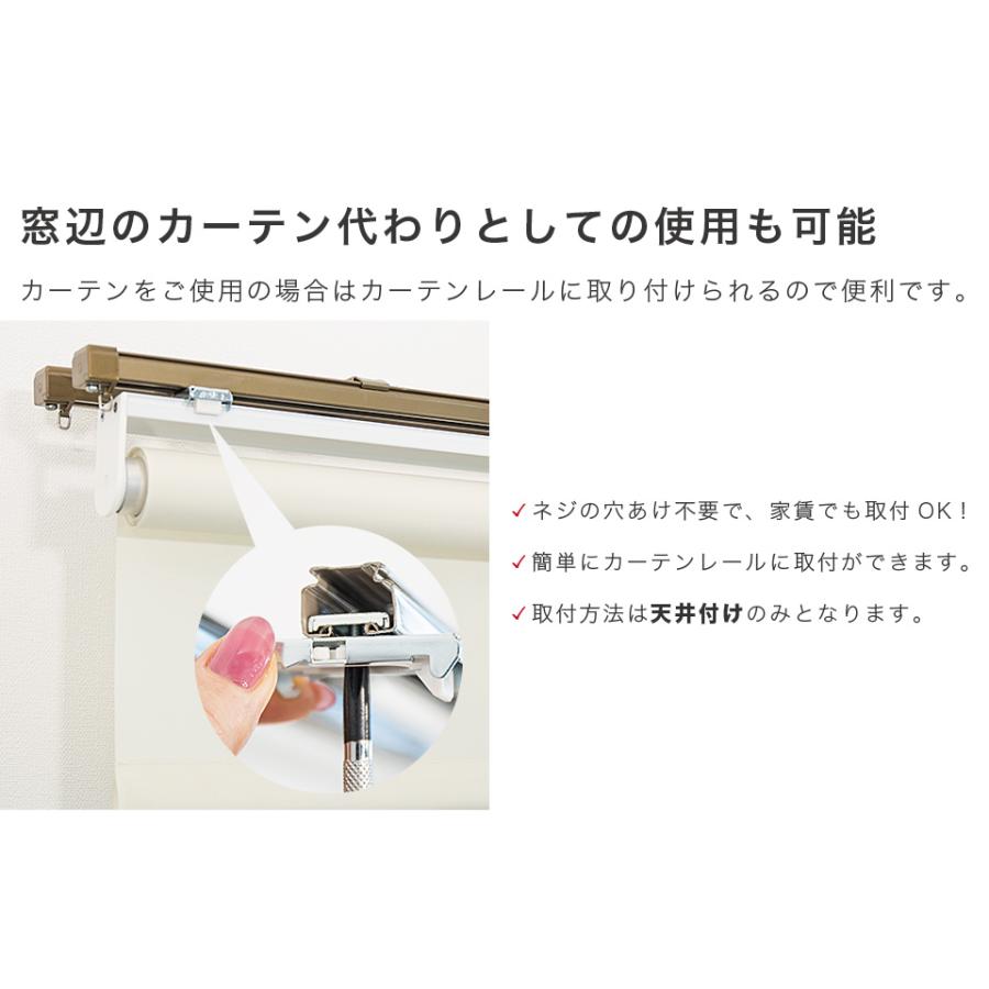 間仕切り 幅60 丈250cm ロールスクリーン 目隠し 巻上器付き 最大長さ