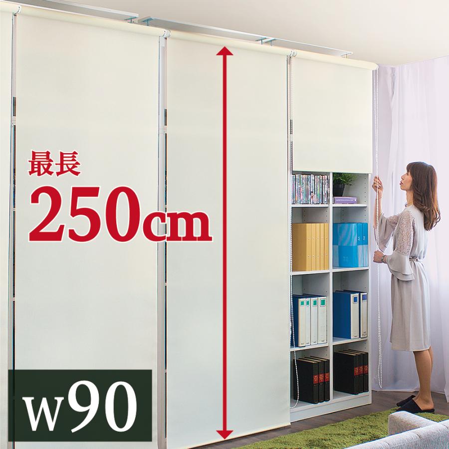 ロールスクリーン 幅165cm 高さ100cm 2台 ロールスクリーン 幅90 丈250cm 目隠し 巻上器付き 風通し 最大